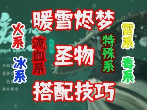 《暖雪：烬梦新篇章——神秘圣物全面解析》