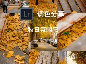 抖音旋律颂：季节更替之际的落叶银辉舞曲，聆听自然旋律之美