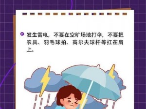 应对稻妻雷雨天气：全面解决雷电干扰，护航农业丰收行动