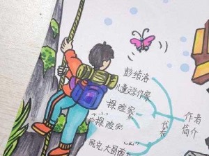 少年冒险王：璀璨之谜——宝石功能的详尽解析