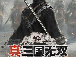 光荣真三国无双6配置需求公开：入门级设备亦可畅玩无阻