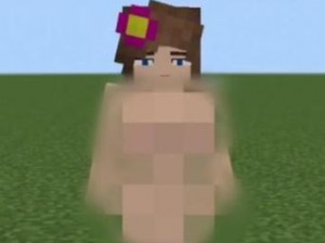 老外Minecraft中的女性角色【老外 Minecraft 中女性角色长什么样？】