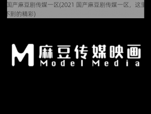 2021国产麻豆剧传媒一区(2021 国产麻豆剧传媒一区，这里有你想象不到的精彩)