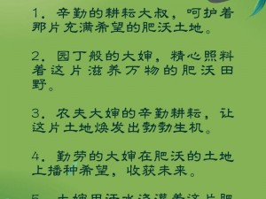 探索大婶的肥沃的土地，了解字数奥秘