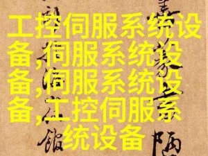 四川40岁阿姨荒野大镖客(荒野大镖客40 岁四川阿姨的传奇冒险)