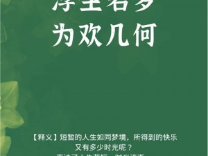 浮生若梦玲珑心，孽海情深何以过——追寻的旅程