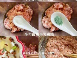 课后辅导 po 肉馅小水饺：自由的追求，尽在一口之中