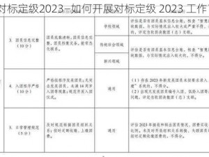 对标定级2023—如何开展对标定级 2023 工作？