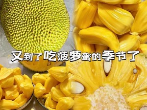 菠萝蜜麻豆一区;菠萝蜜麻豆一区的精彩内容，你不想错过吧？