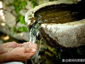 蜀山初章泉水获取攻略：探索有效方法揭秘泉水之源