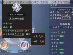 天涯明月刀手游气劲流真武后期心法优选指南：心法选择与搭配策略探讨