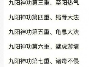 九阳神功起源揭秘：职业全面分析介绍与装备系统深度解析