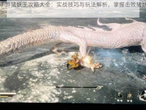 寻仙手游猪妖王攻略大全：实战技巧与玩法解析，掌握击败猪妖王的秘诀