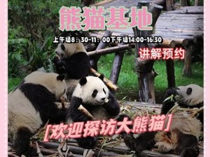 熊猫乐园踩格乐舞——探秘熊猫踩格子的乐趣与简介