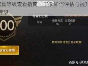 PUBG信誉等级查看指南：了解如何评估与提升你的游戏信誉等级