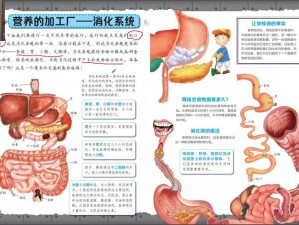 牲ZOZ交体内;探究牲 ZOZ 交体内的奥秘