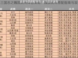 少年三国志之魏国武将阵容策略：魏国武将搭配指南与攻略详解