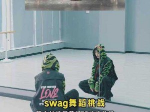 SWAG官方正版入口;SWAG 官方正版入口，尽享精彩内容