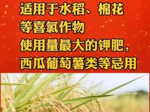 浇灌妈妈肥沃的土地上架感言——好用的 XX 牌肥料，助力丰收