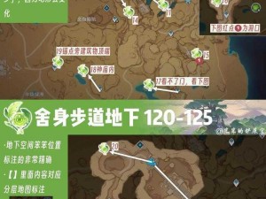 《原神探秘：亡者狭廊草神瞳详尽位置指南》