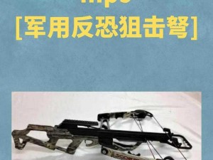 赤龙狙击弩水客定制强化：精准射击与高效威力的完美融合