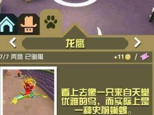 疯狂动物园：捕捉龙鹰攻略全解析