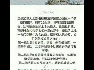 老狼群一卡二卡 3 卡四卡在线，聚合了丰富的影视资源，支持多线路切换，畅享高清流畅的观影体验