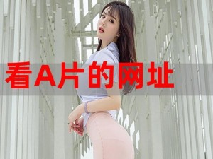 A片好视频【如何获取 A 片好视频资源？】