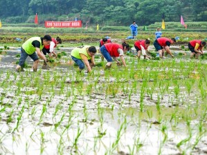 热心的朝阳民众 51cgfun 带来丰富的图片、文章和视频资源