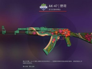 csgo 高清大片 955——带来极致视觉体验的游戏装备