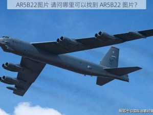 AR5B22图片 请问哪里可以找到 AR5B22 图片？