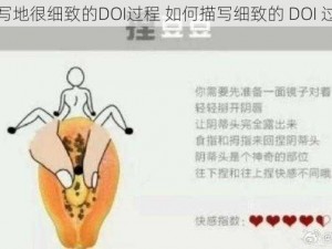 描写地很细致的DOI过程 如何描写细致的 DOI 过程