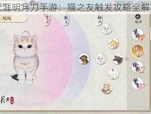 天涯明月刀手游：猫之友触发攻略全解析