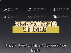 恶意不息双刀：终极推荐与词条配装深度解析