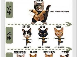 功夫熊猫3手游之猫大姐角色解析：猫大姐属性与技能详解