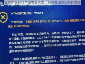 魔兽世界怀旧服封号名单查看指南：封号查询方法与注意事项详解