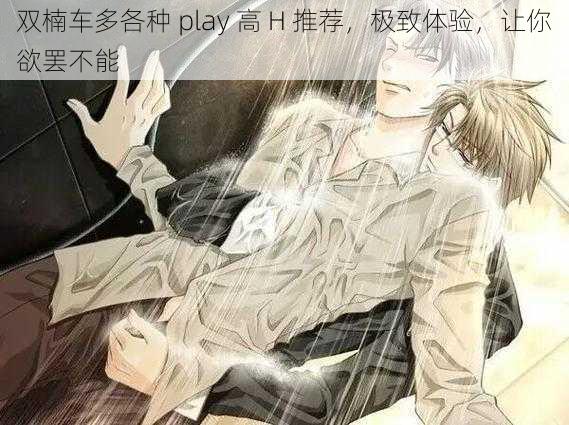 双楠车多各种 play 高 H 推荐，极致体验，让你欲罢不能