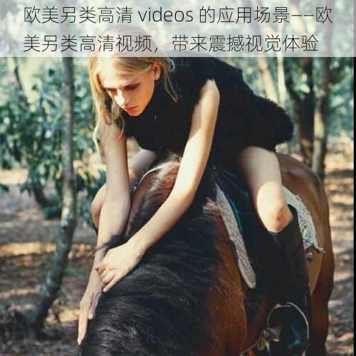 欧美另类高清 videos 的应用场景——欧美另类高清视频，带来震撼视觉体验