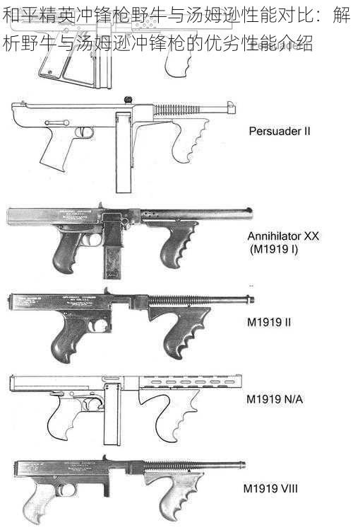 和平精英冲锋枪野牛与汤姆逊性能对比：解析野牛与汤姆逊冲锋枪的优劣性能介绍