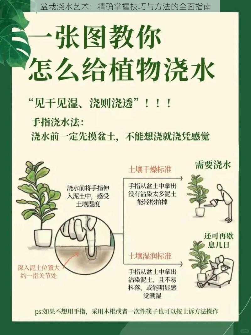 盆栽浇水艺术：精确掌握技巧与方法的全面指南