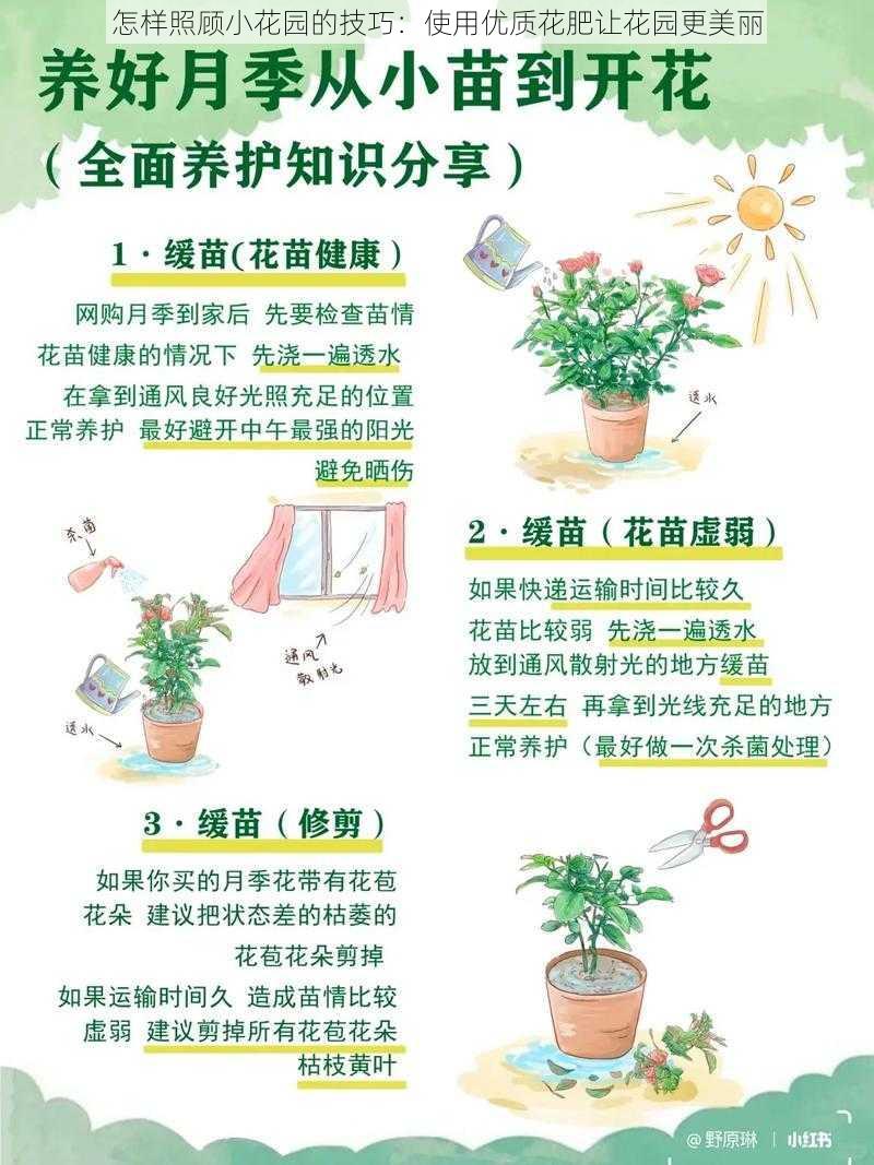 怎样照顾小花园的技巧：使用优质花肥让花园更美丽