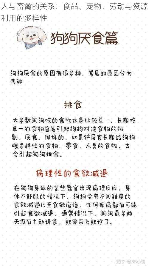 人与畜禽的关系：食品、宠物、劳动与资源利用的多样性