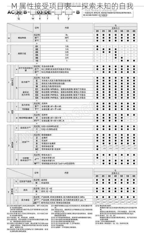 M 属性接受项目表——探索未知的自我