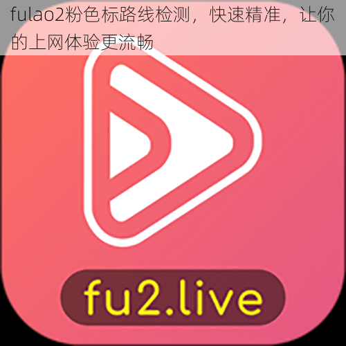 fulao2粉色标路线检测，快速精准，让你的上网体验更流畅