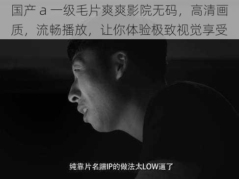 国产 a 一级毛片爽爽影院无码，高清画质，流畅播放，让你体验极致视觉享受