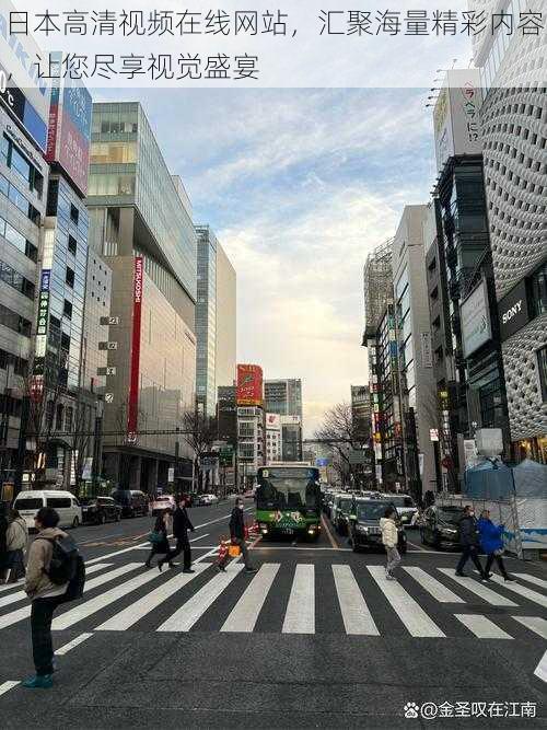 日本高清视频在线网站，汇聚海量精彩内容，让您尽享视觉盛宴