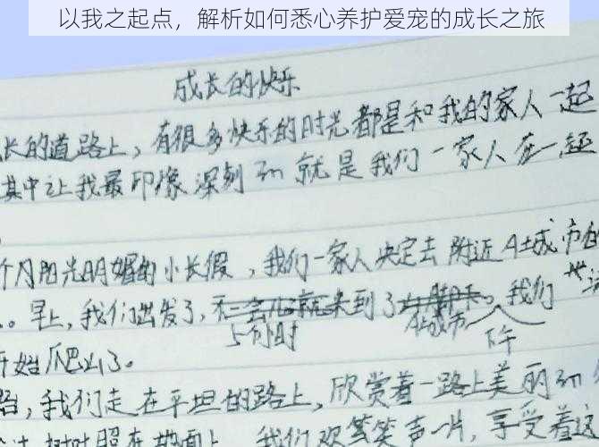 以我之起点，解析如何悉心养护爱宠的成长之旅