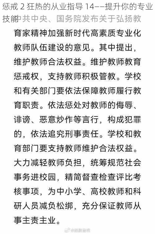 惩戒 2 狂热的从业指导 14——提升你的专业技能