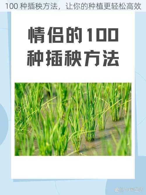 100 种插秧方法，让你的种植更轻松高效