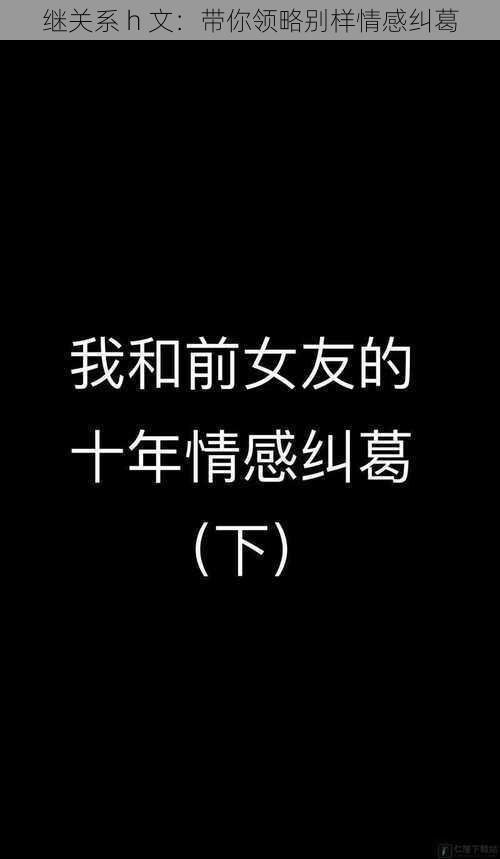 继关系 h 文：带你领略别样情感纠葛